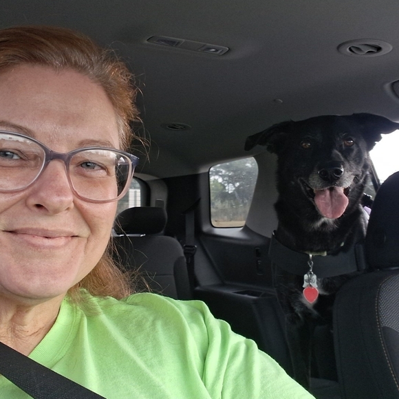 Meet your Posher, Shellbell - Picture 10 of 10